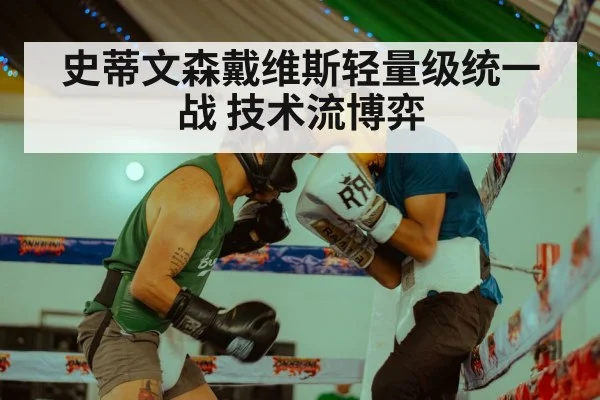 史蒂文森戴维斯轻量级统一战 技术流博弈